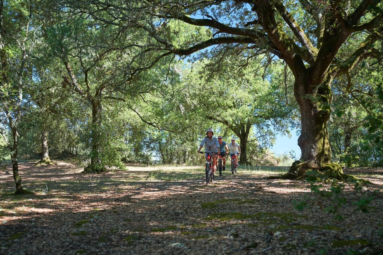 Casa Tolomei Bossi Di Sopra カステルヌオーヴォ・ベラルデンガ エクステリア 写真